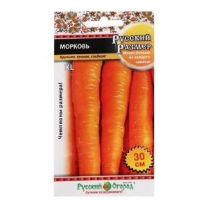 Морковь Русский размер