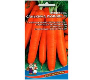 Морковь Санькина любовь