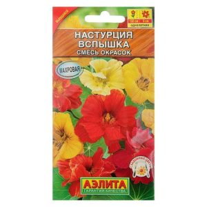 Настурция Вспышка (смесь окрасок)