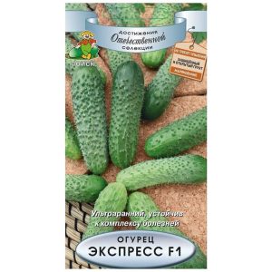 Огурец Экспресс