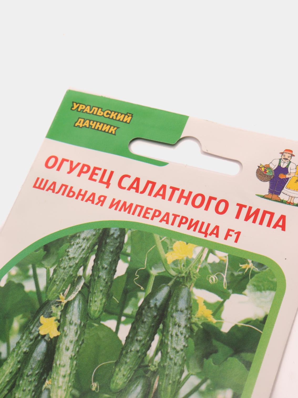 Огурец Шальная императрица