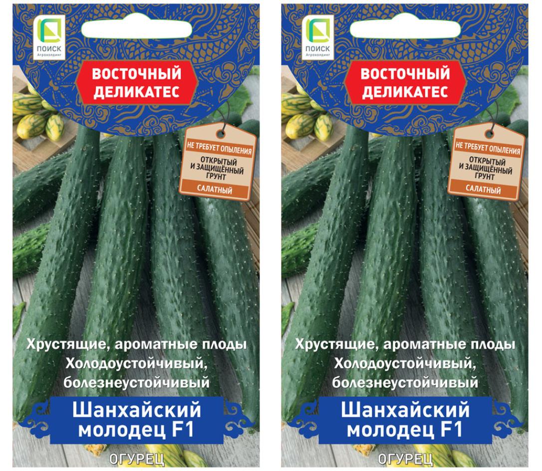 Огурец Шанхайский молодец