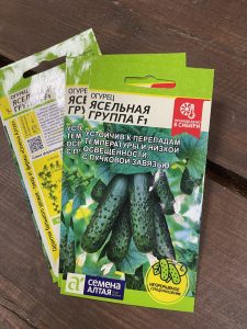 Огурец Ясельная группа