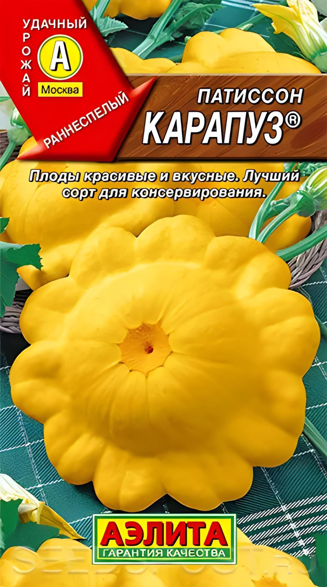 Патиссон Карапуз
