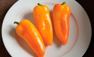 Перец Янтарь