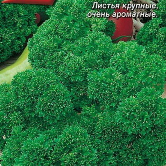 Петрушка Бабушкина грядка