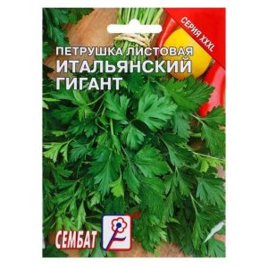 Петрушка Итальянский гигант