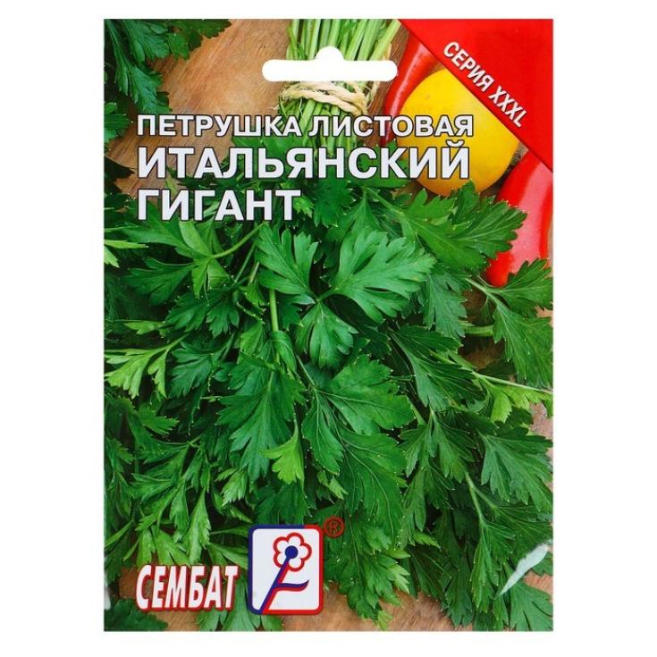 Петрушка Итальянский гигант