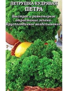 Петрушка Петра