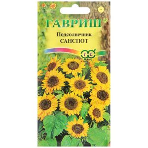 Подсолнечник Санспот