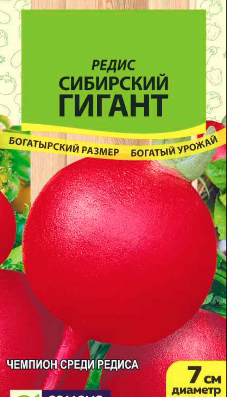Редис Сибирский гигант