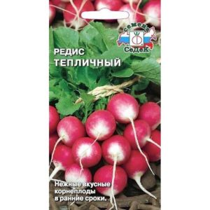 Редис Тепличный