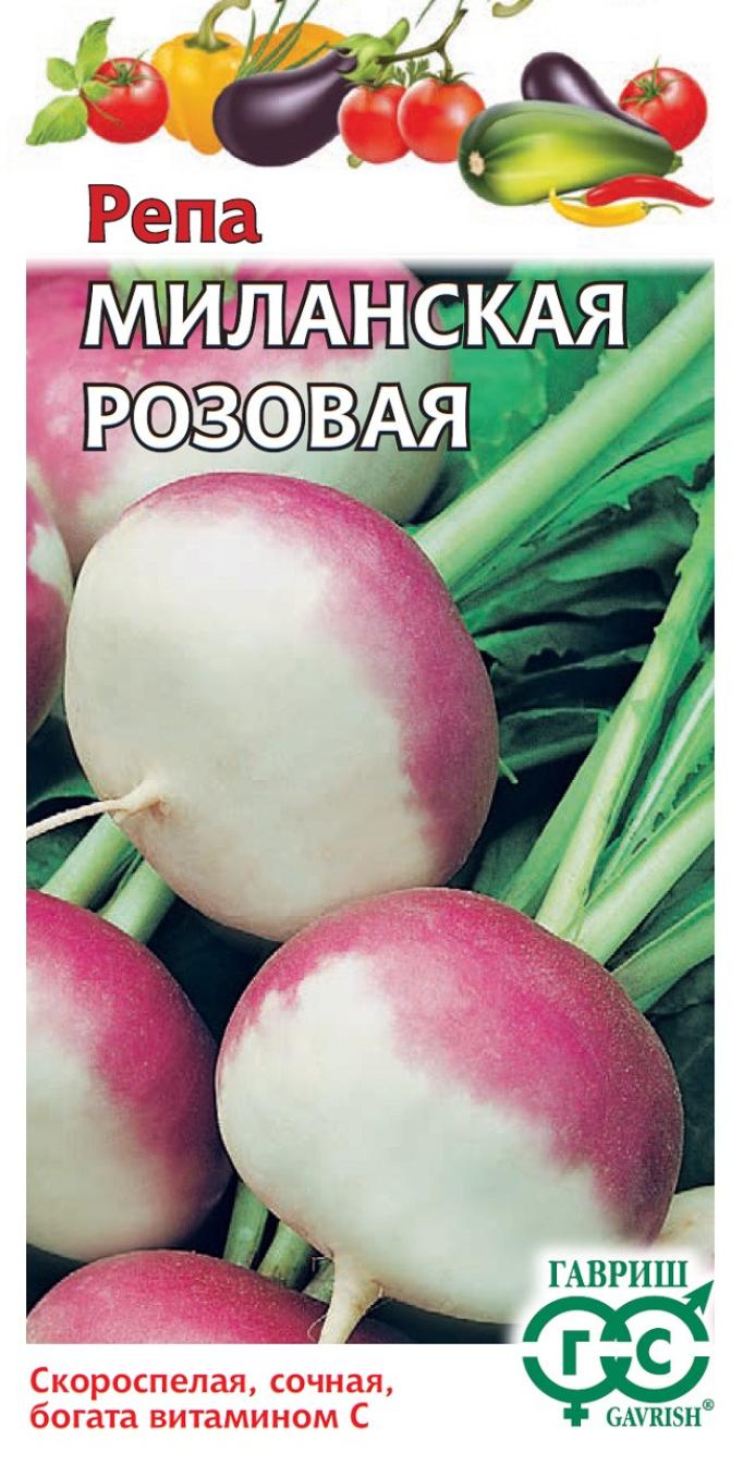 Репа Миланская розовая