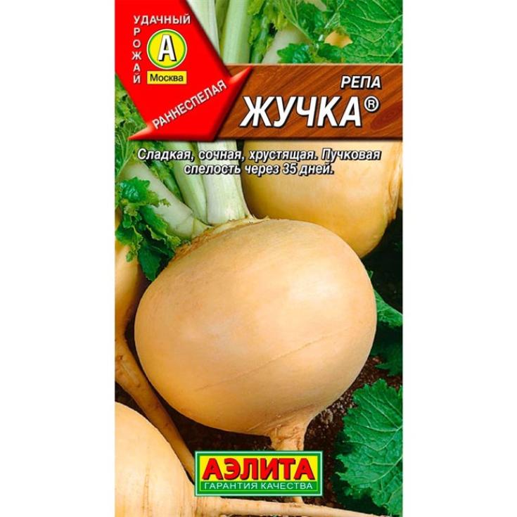 Репа Жучка