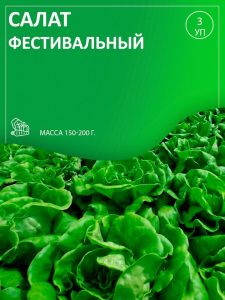 Салат Фестивальный