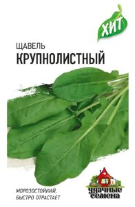 Щавель Крупнолистный
