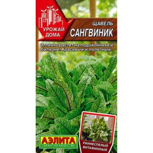 Щавель Сангвиник
