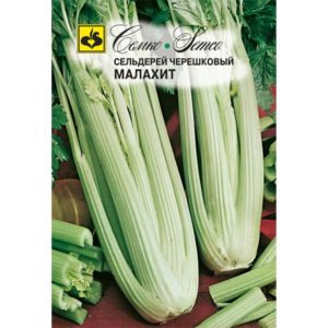 Сельдерей Малахит