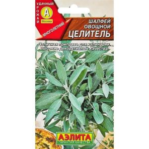 Шалфей (Сальвия) Целитель