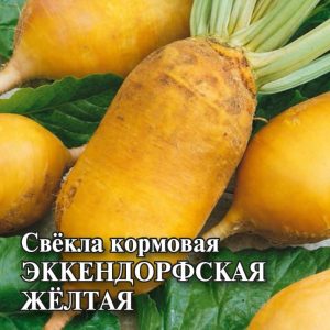 Свекла Эккендорфская желтая