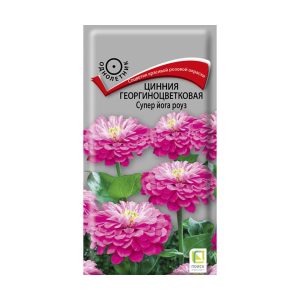 Цинния Супер Йога