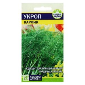Укроп Карлик