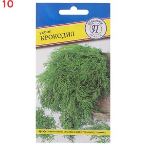 Укроп Крокодил