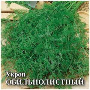 Укроп Обильнолистный
