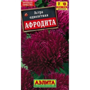 Астра Афродита