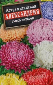 Астра Александрия (смесь окрасок)