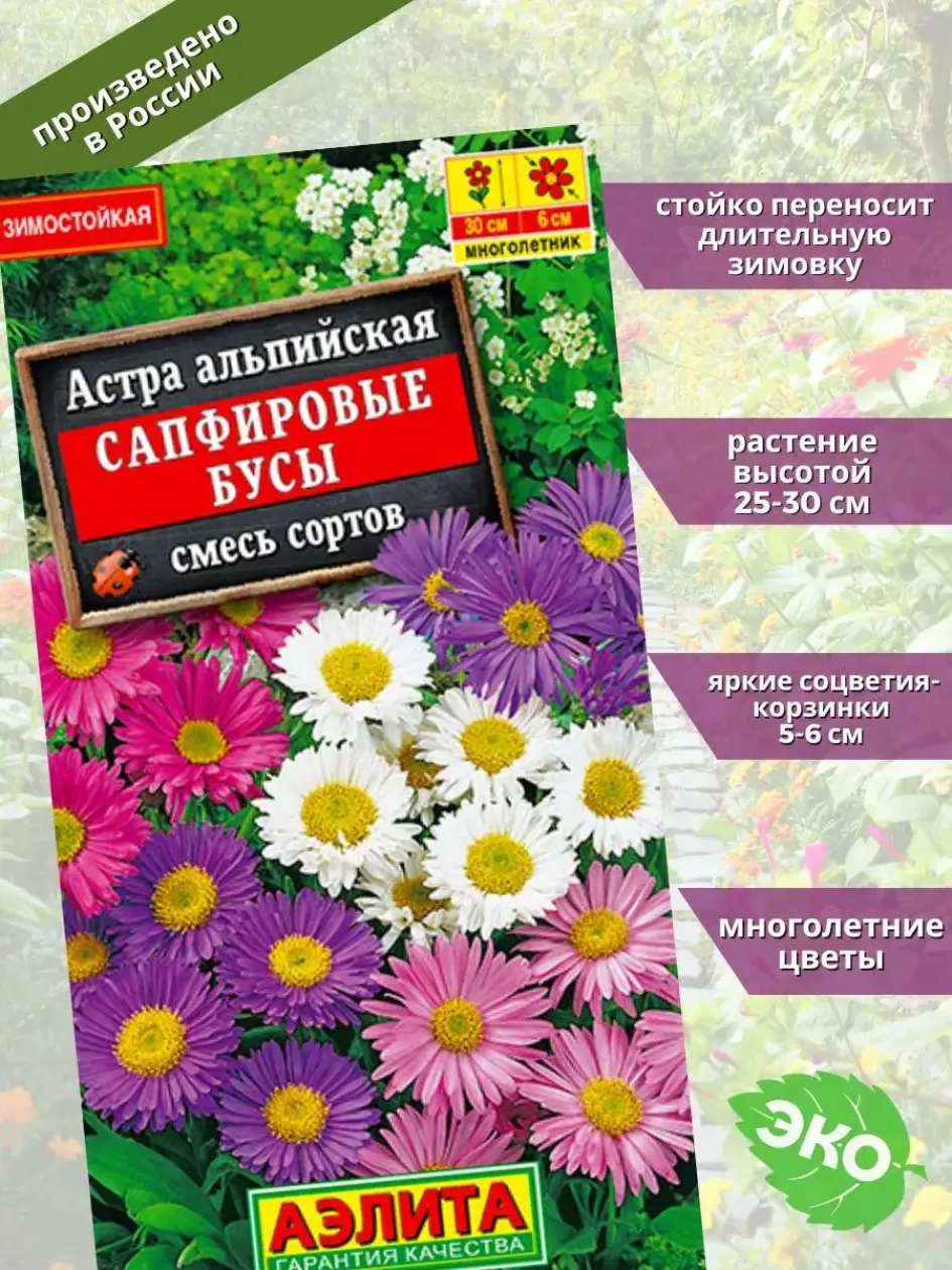 Астра альпийская Сапфировые бусы (смесь окрасок) 3