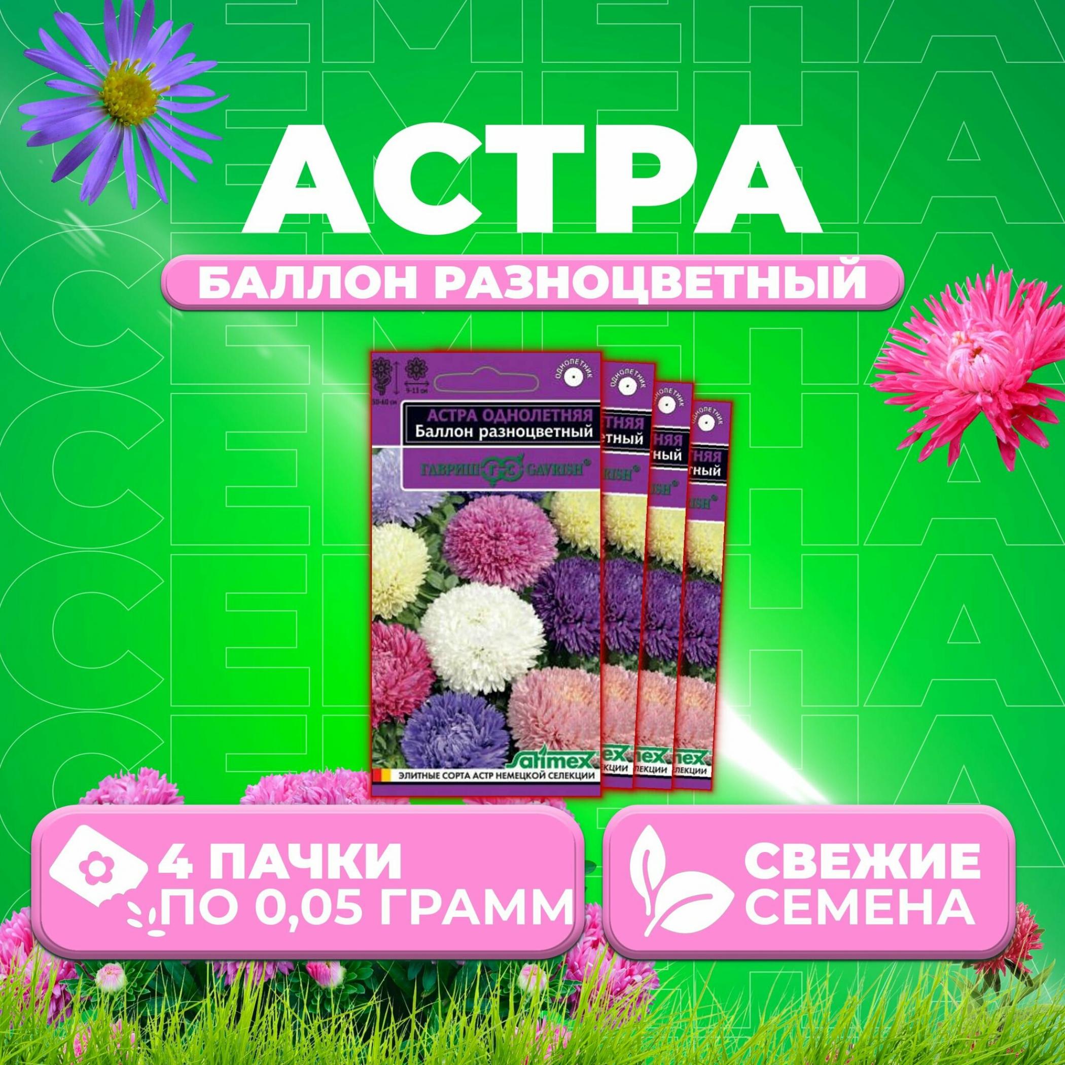 Астра Баллон разноцветный 2