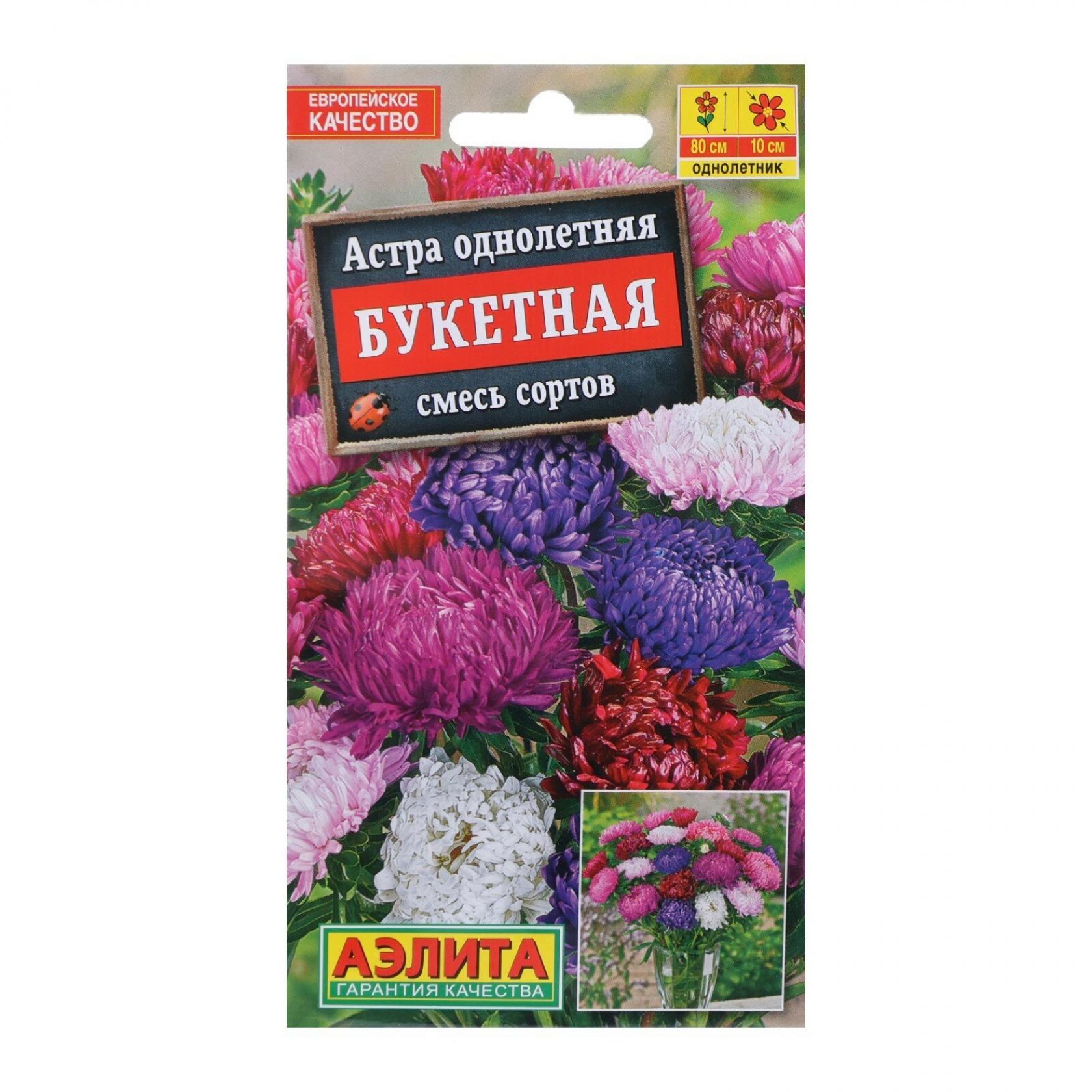 Астра Букетная (смесь окрасок)