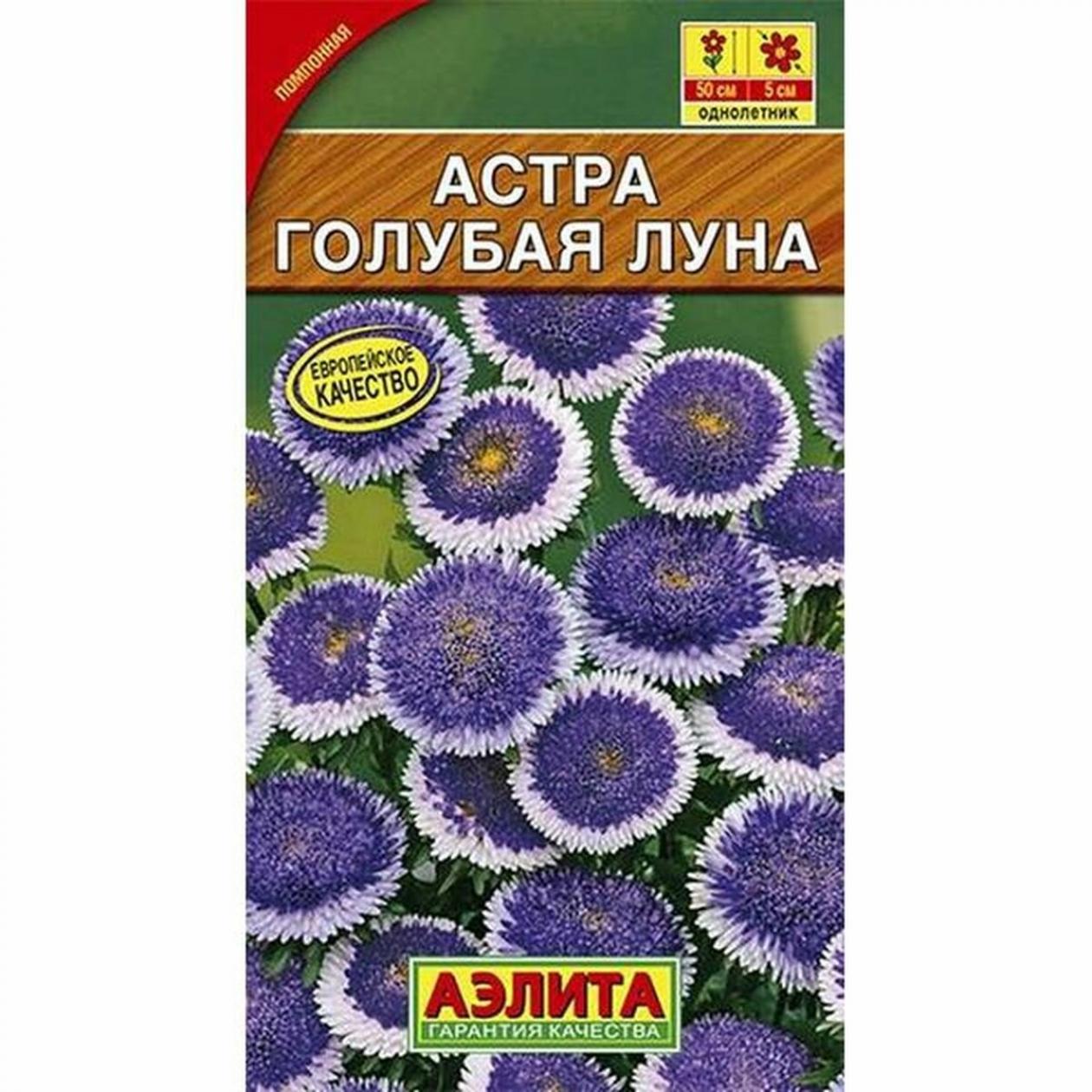 Астра Голубая луна 2