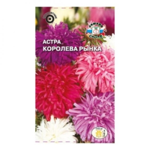 Астра Королева рынка
