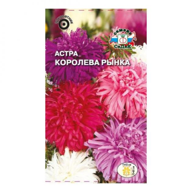 Астра Королева рынка