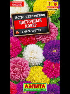 Астра Ковер (смесь окрасок)