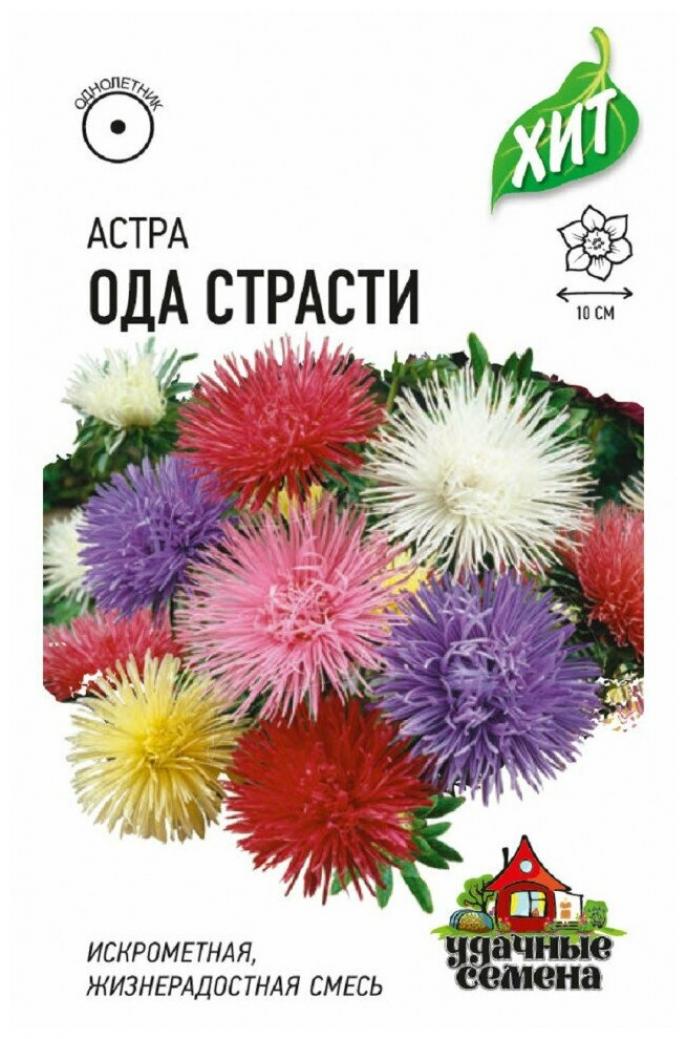 Астра Ода страсти (смесь окрасок)