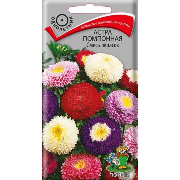 Астра Помпонная (смесь окрасок)