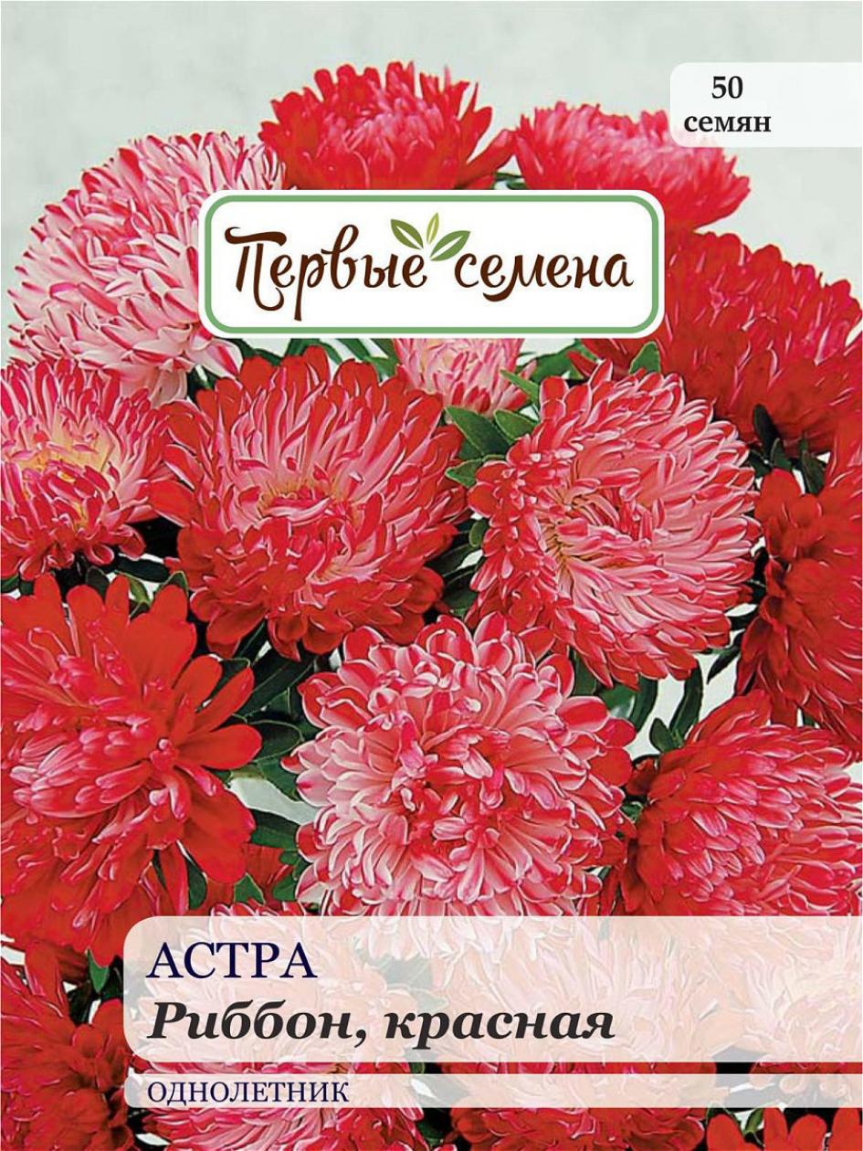 Астра Риббон красная 4