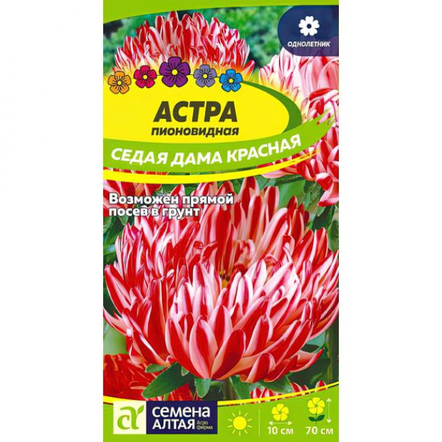 Астра Седая дама красная