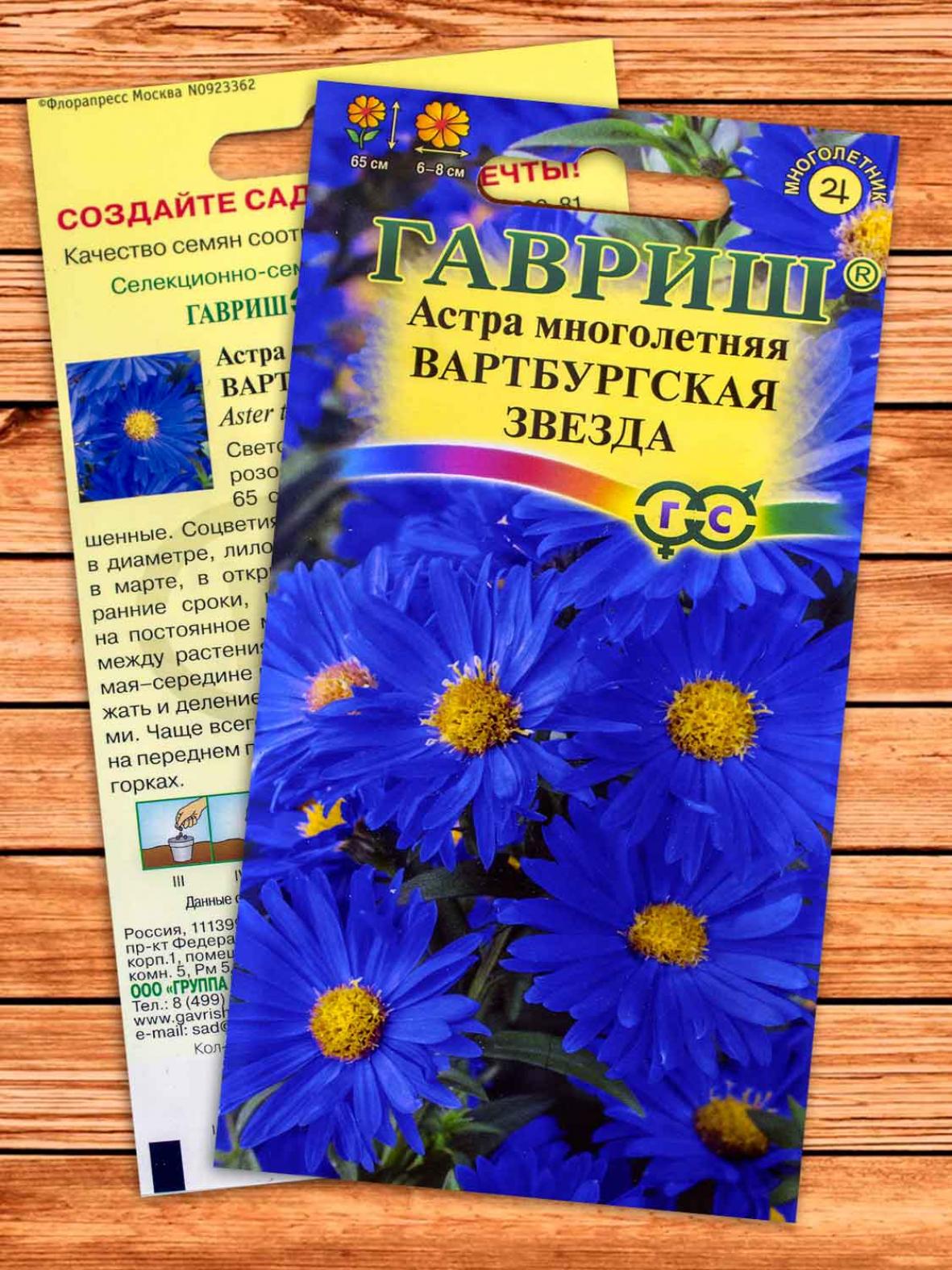 Астра Вартбургская звезда 2