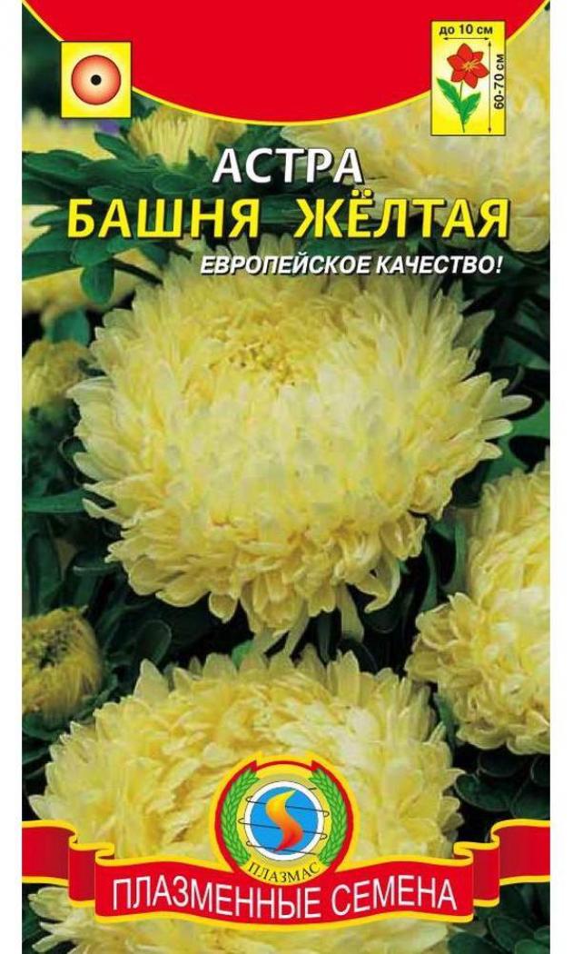 Астра Желтая башня 5