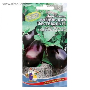 Баклажан Бардовский фестиваль
