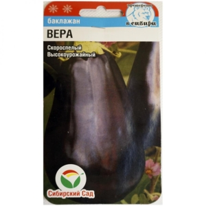 Баклажан Вера