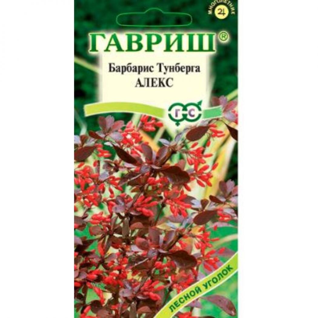 Барбарис Алекс