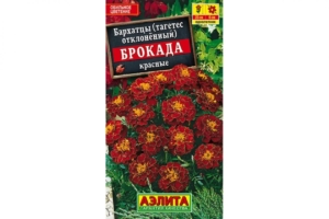 Бархатцы Брокада красная