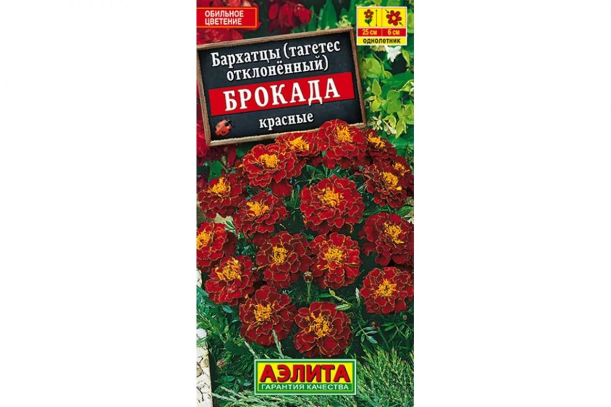 Бархатцы Брокада красная