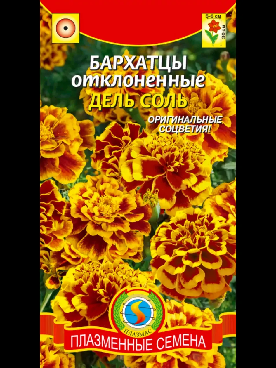 Бархатцы Дель Соль 2