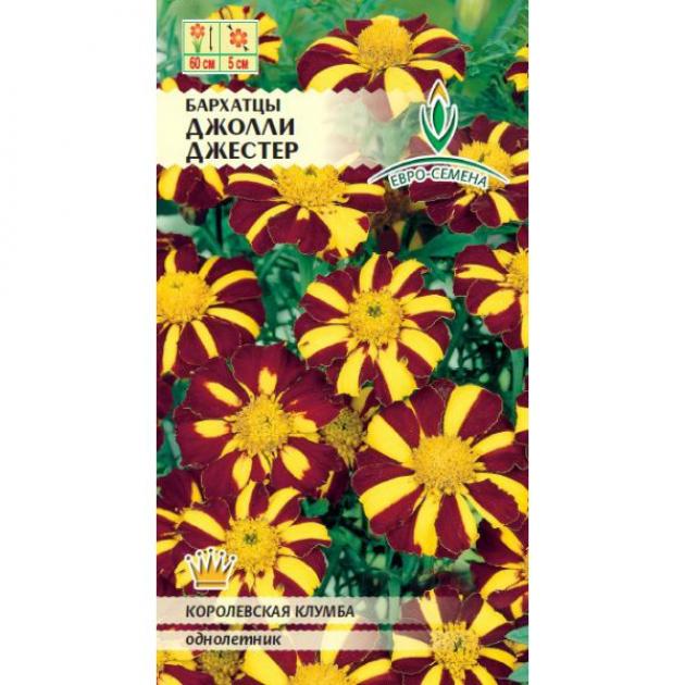 Бархатцы Джолли Джестер 4